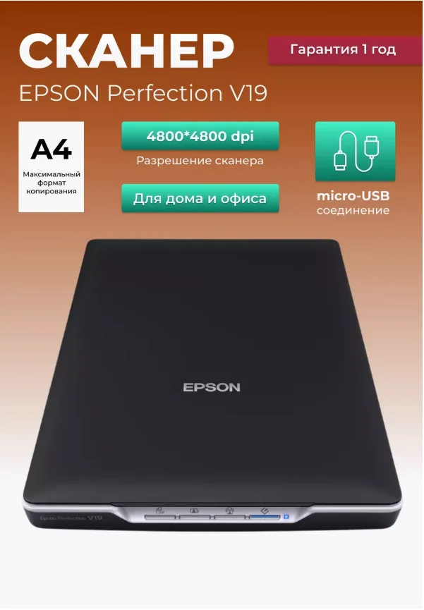 Сканер планшетный А4 Epson Perfection V19 (B11B231401) USB 4800х4800 dpi