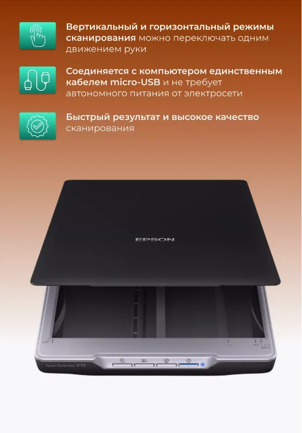 Черный сканер планшетный А4 Epson Perfection V19 (B11B231401) USB 4800х4800 dpi