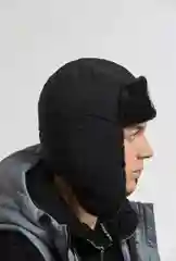 Серебряный ушанка