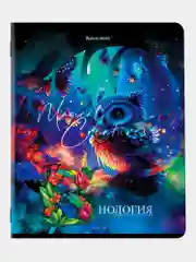 Предметные тетради 48 л набор A5 в клетку и линейку 12 штук, Brauberg Dream World