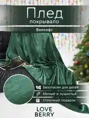 Зеленый плед покрывало велсофт на кровать, диван, в машину