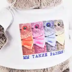 Ks30-076 Басик в футболке с принтом "Мы такие разные"(В1)