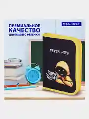 Пенал школьный с наполнением, 1 отделение, 24 предмета, 21х14см, Brauberg, 271528