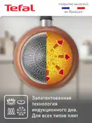 Коричневый индукционная сковорода 28 см Tefal Luminens 04229128