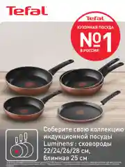 Коричневый индукционная сковорода 28 см Tefal Luminens 04229128