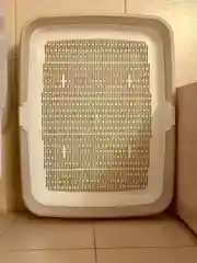 Бежевый лоток туалет большой с сеткой и бортов для всех пород кошек и наполнителей