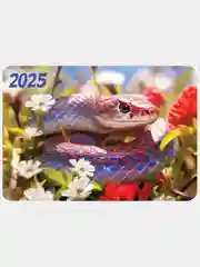 Багровый карманный календарь 2025 год. 25 видов