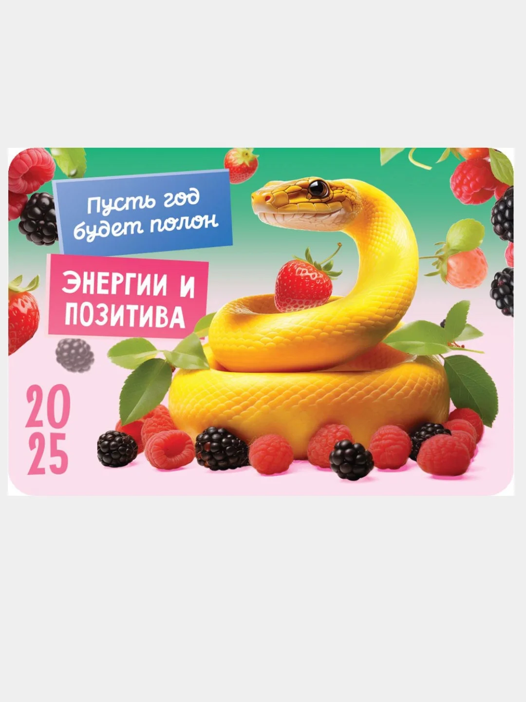 Коралловый меланж карманный календарь 2025 год. 25 видов