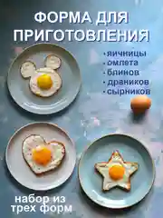 Серый металлик форма для жарки приготовления яичницы
