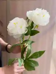 Алый наклейка на автомобиль "Еду за дочкой!", "Еду за сыном!"  наклейка на выписку на авто