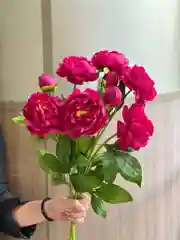 Алый наклейка на автомобиль "Еду за дочкой!", "Еду за сыном!"  наклейка на выписку на авто