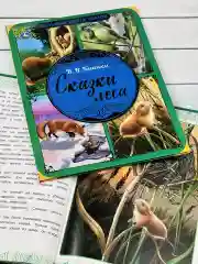 Книжка сказок Виталий Бианки Сказки Мышонок Пик подкидыш