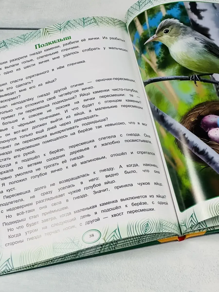 Книжка сказок Виталий Бианки Сказки Мышонок Пик подкидыш