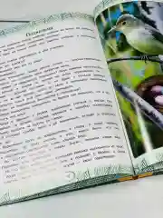 Книжка сказок Виталий Бианки Сказки Мышонок Пик подкидыш