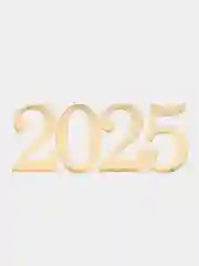 Топпер #Т78 с надписью "2025" из акрила для торта, капкейков, бенто на новый год