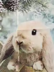 Пакет новогодний, новогодняя упаковка