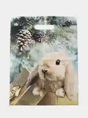 Пакет новогодний, новогодняя упаковка