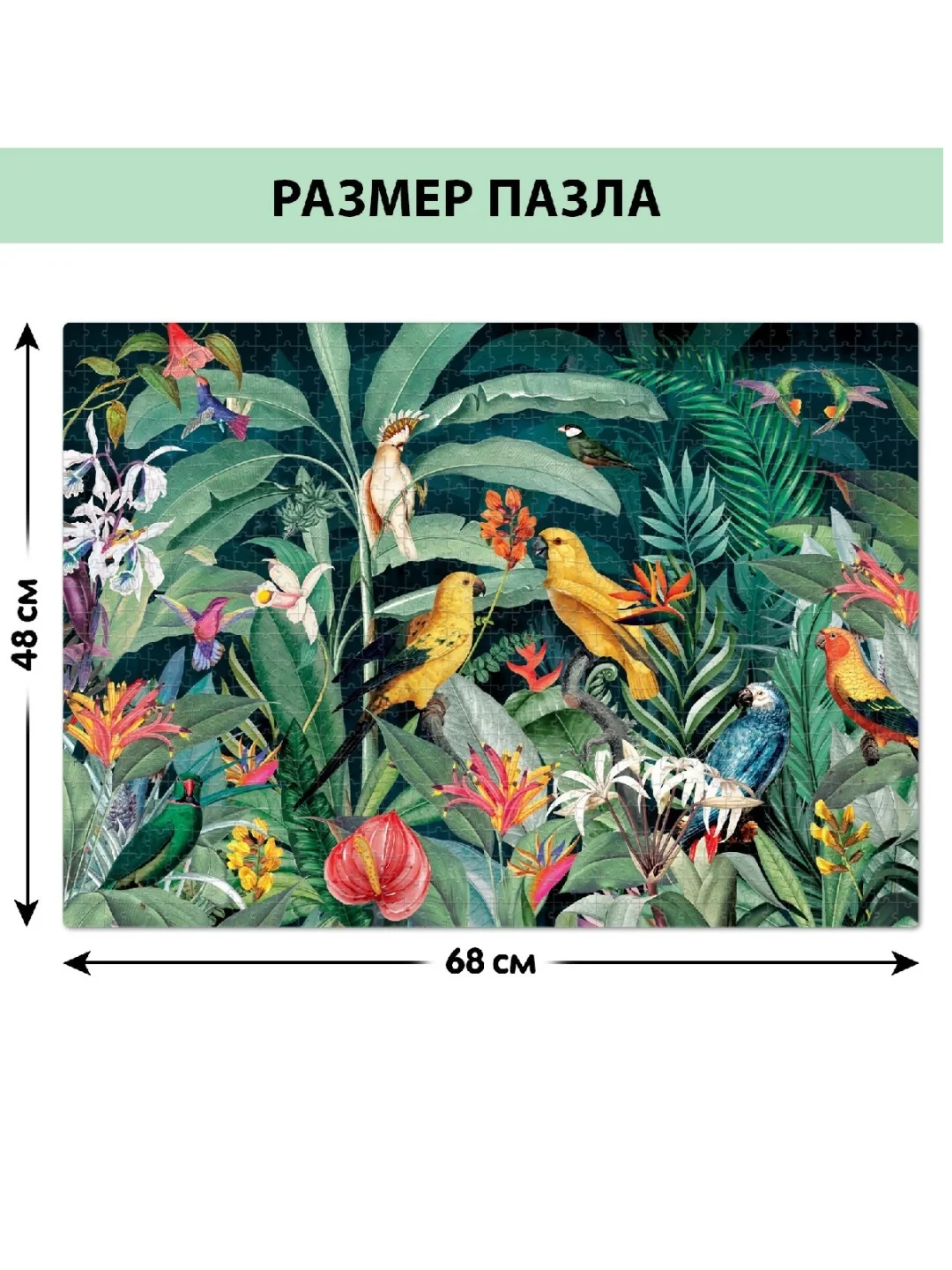 Пазл "Тропический сад", 1000 деталей