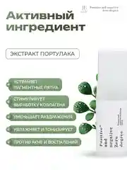 Очищающая пенка д/снятия макияжа с экстрактом портулака Positive and negative Zero degree