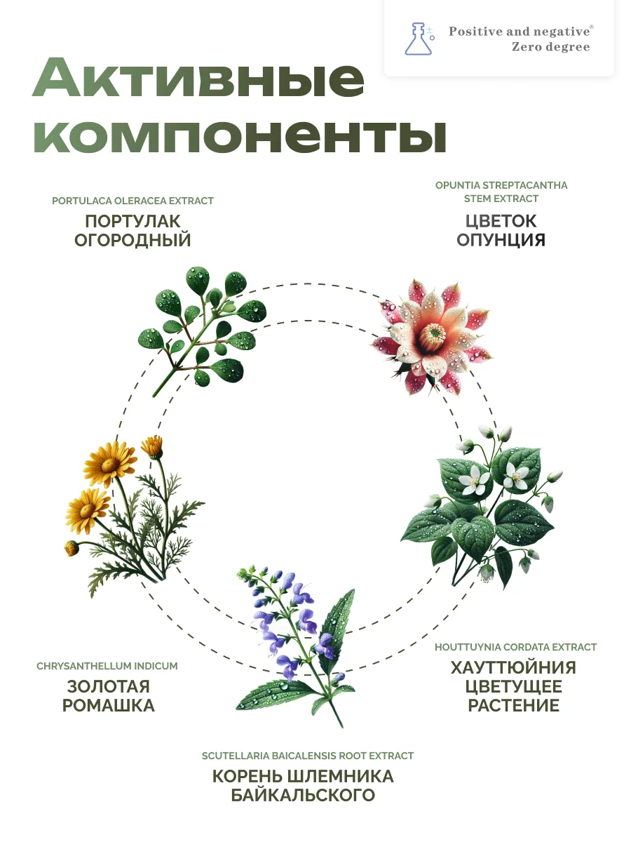 Очищающая пенка д/снятия макияжа с экстрактом портулака Positive and negative Zero degree