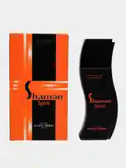 Shaman Spirit (edt) Туалетная вода  для муж. 100 ml