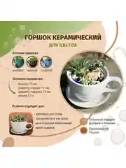 Белый горшок с поддоном Чашка с ручкой 0,7