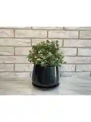 Угольный горшок с подставкой Скарлет №3