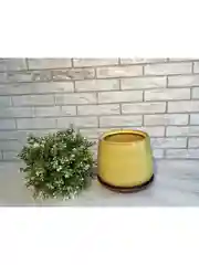 Желтый горшок с подставкой Скарлет №3