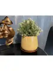 Желтый горшок с подставкой Скарлет №3