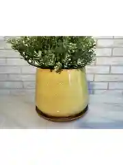 Желтый горшок с подставкой Скарлет №3