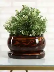 Коричневый горшок с подставкой Tango
