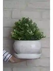 Молочный горшок с подставкой Tango