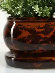 Коричневый горшок с подставкой Tango