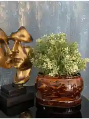 Коричневый горшок с подставкой Tango