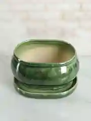 Зеленый горшок с подставкой Tango