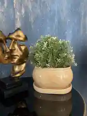 Светло-бежевый горшок с подставкой Tango