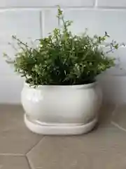 Белый горшок с подставкой Tango