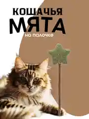 Кошачья мята на палочке, игрушка для кошек из кошачьей мяты, в индивидуальной упаковке