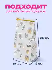 Пакеты новогодние подарочные мужчине, женщине, набор 10 штуки 12х8х25 см Золотая Сказка