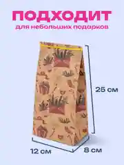 Пакеты новогодние подарочные мужчине, женщине, набор 10 штуки 12х8х25 см Золотая Сказка