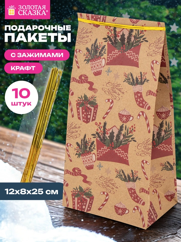 Пакеты новогодние подарочные мужчине, женщине, набор 10 штуки 12х8х25 см Золотая Сказка