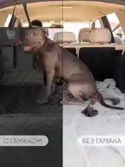 Черный автогамак КАРТОФАН, для перевозки собак, гамак, автокресло, коврик-чехол на заднее сидение