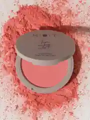MIXIT Make Up Компактные матовые румяна, 01