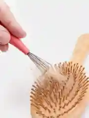 Щетка для очистки расчески