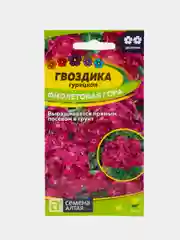 Гвоздика фиолетовая гора(турецкая)