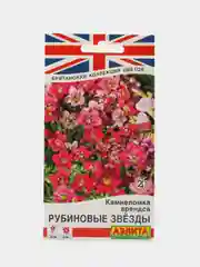 Камнеломка Рубиновые звезды (семена,цветы)