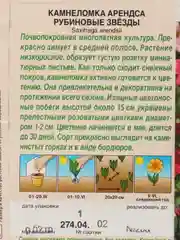 Камнеломка Рубиновые звезды (семена,цветы)