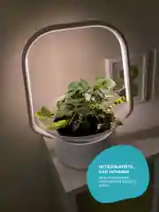 Умный горшок для растений с фитолампой VegeBox V-Basket для выращивания цветов и зелени