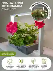 Умный сад Vegebox V-Frame, для выращивания цветов и растений с фитолампой