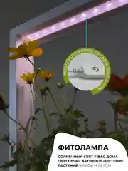 Умный сад Vegebox V-Frame, для выращивания цветов и растений с фитолампой